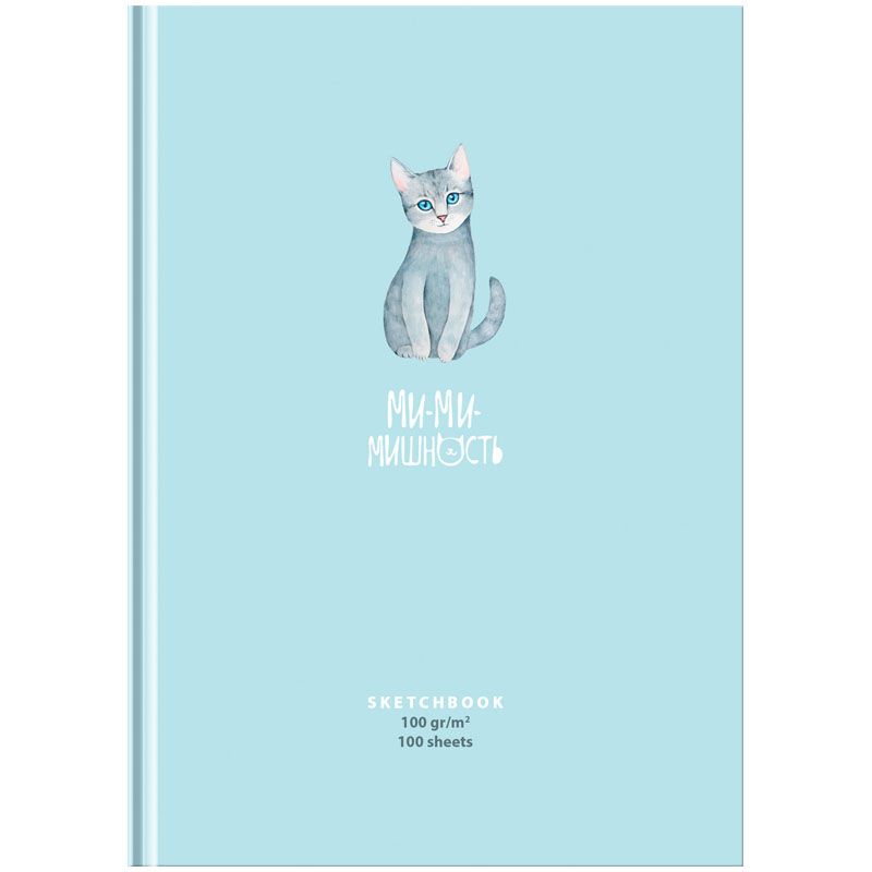 Скетчбук 100л. А5 7БЦ BG "Милая кошечка", глянцевая ламинация, 100г/м2 /7/14/