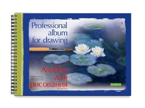 Альбом для рисования А4  20л. "Профессиональная" на гребне /3/36/