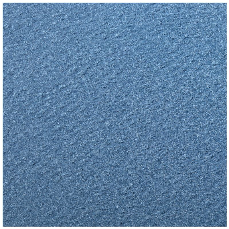 Бумага цветная 50х65см Clairefontaine "Etival color" 160г/м2 легкое зерно,  королевский синий/24/