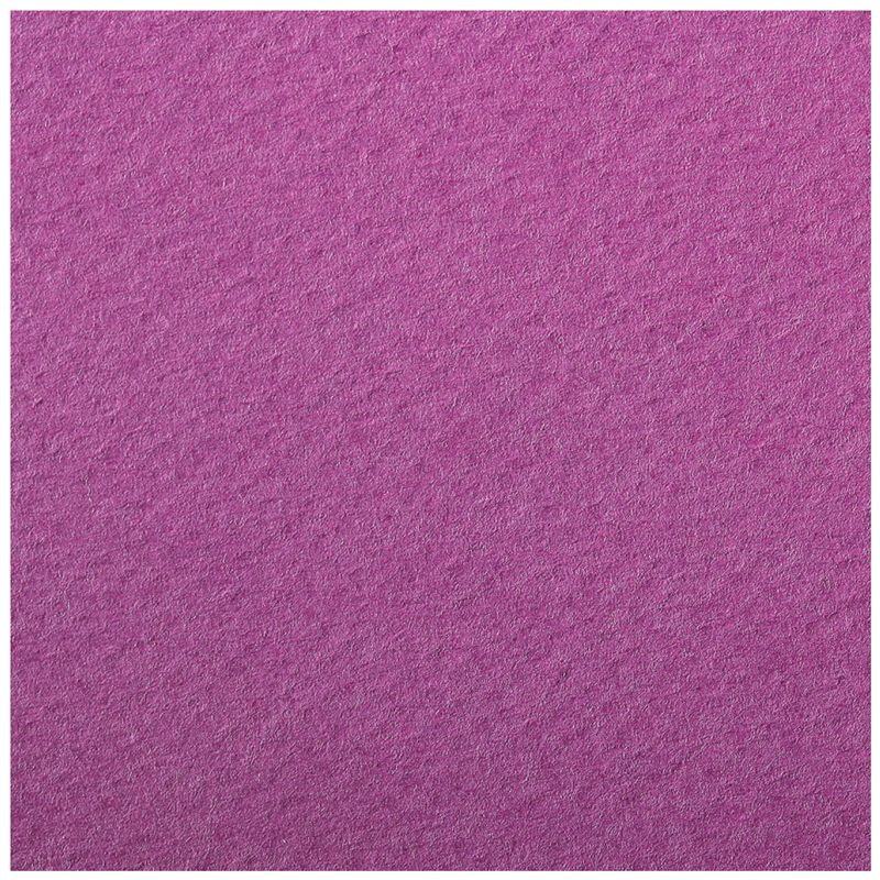 Бумага цветная 50х65см Clairefontaine "Etival color" 160г/м2 легкое зерно, хлопок фиолетовый /24/