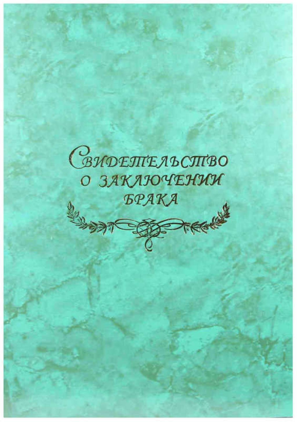 Обложка А4 "Свидетельство о браке. Гроза зеленая" ламинированная с файлом /50/
