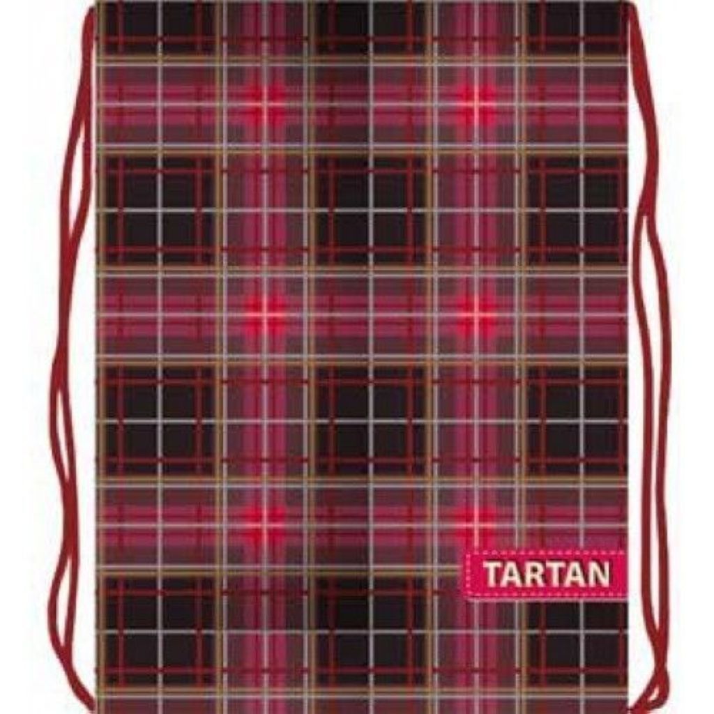 Мешок для сменной обуви "Клетка бордо" дизайн /1/