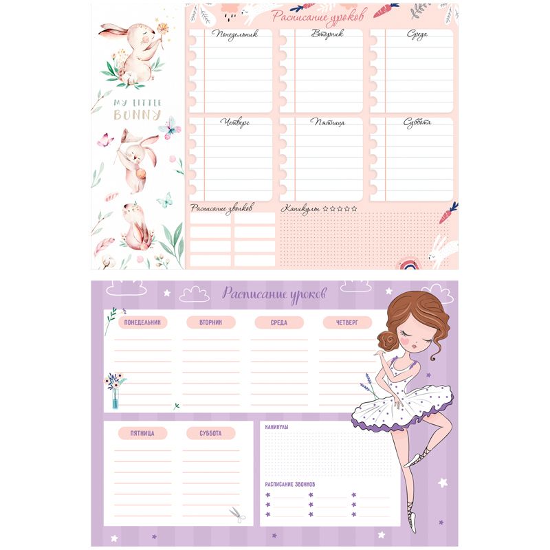 Расписание уроков А4 "Пиши-стирай. Cool girl" /20/