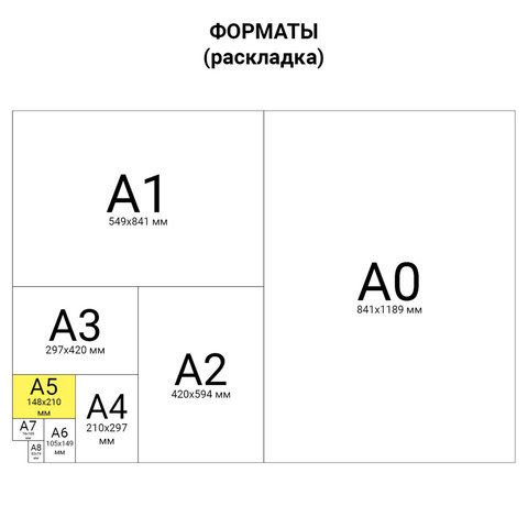 Тетрадь  12л. А5 косая линия Зеленая обложка /420/
