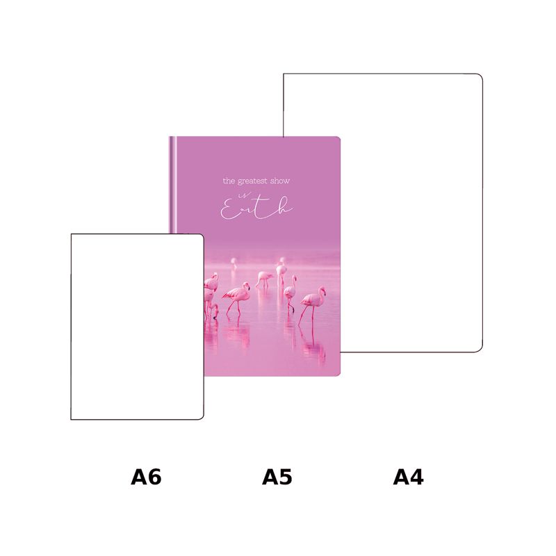 Бизнес-блокнот А5  64л. BG "Краски природы" /10/20/