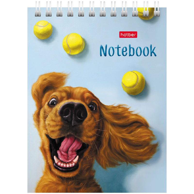 Блокнот А6  40л. "Узнай себя" на гребне /6/