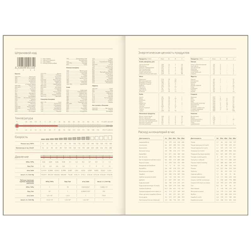 Ежедневник недат. А5 Greenwich Line "Vision. Quadro. Powder" кожзам