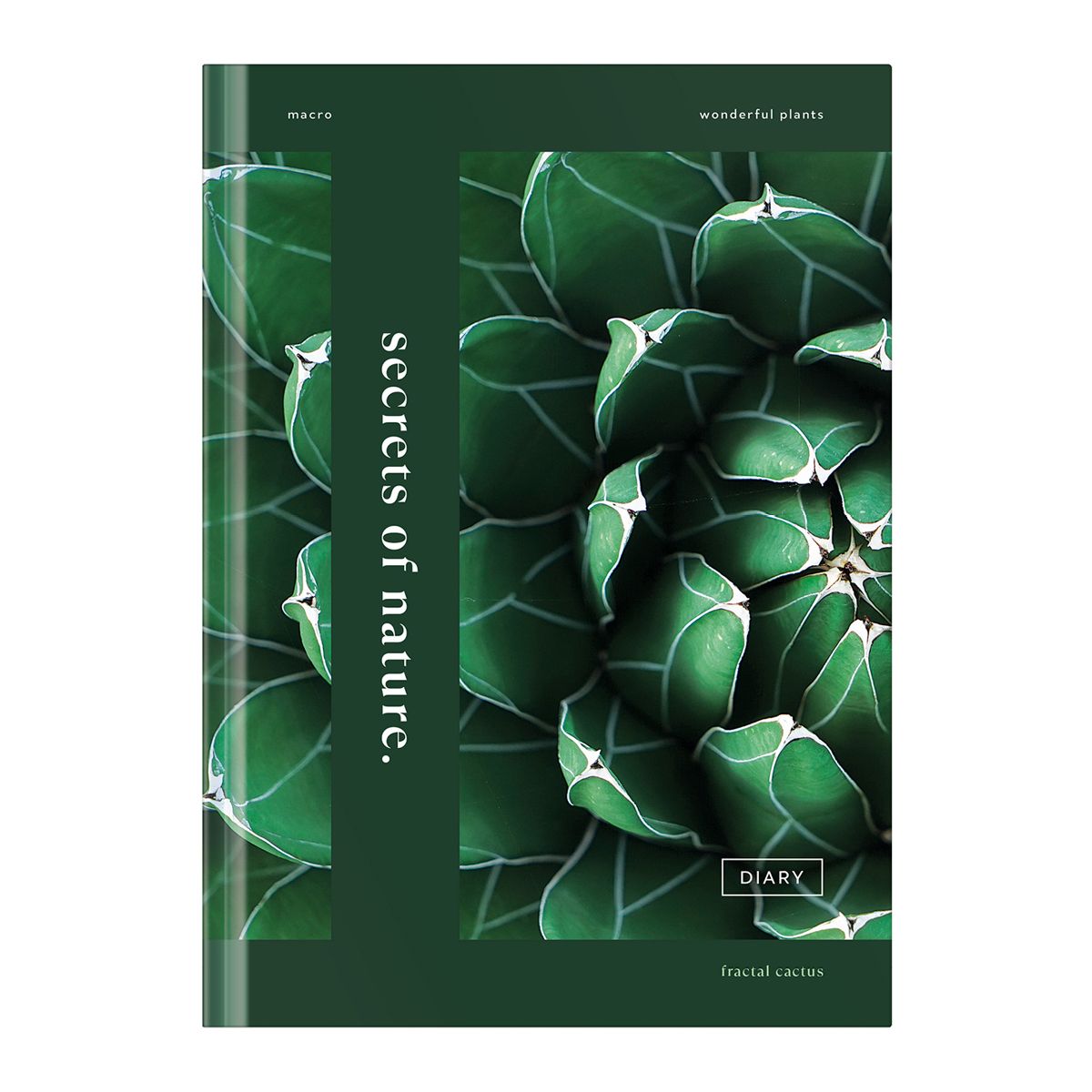 Записная книжка А5  64л. BG "Secrets nature"