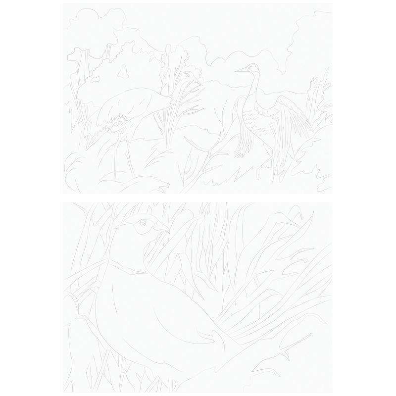 Альбом для акварели А4  10л. "Птицы", 180г/м2