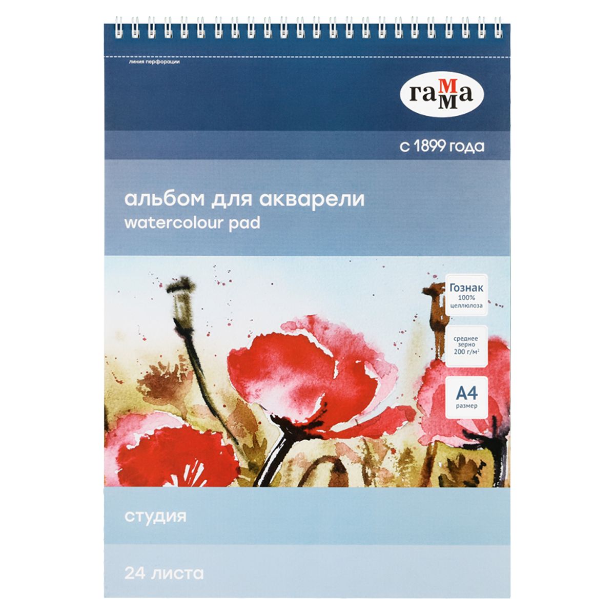 Альбом для акварели А4  24л. Гамма "Студия", 200г/м2, среднее зерно, перфорация на отрыв