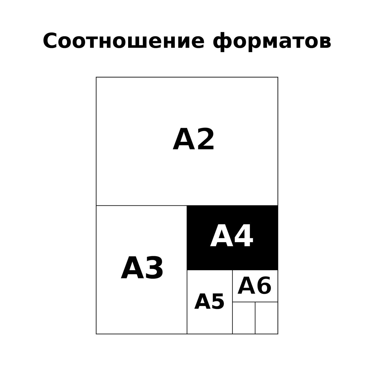 Альбом для рисования А4  48л. BG "Нежный букет" на гребне /4/20/