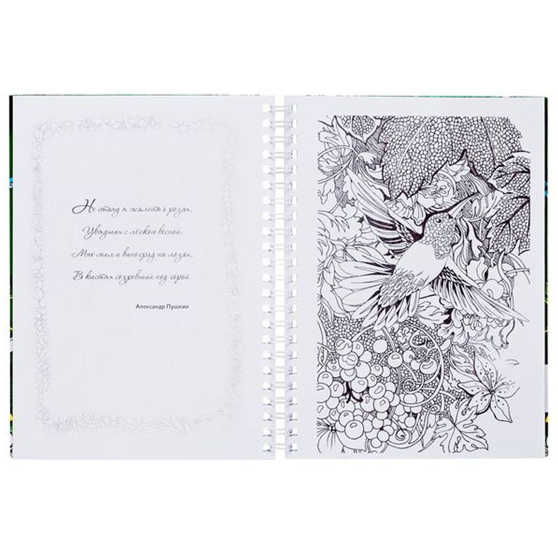 Раскраска-релакс  32л. "Дивный сад" /10/