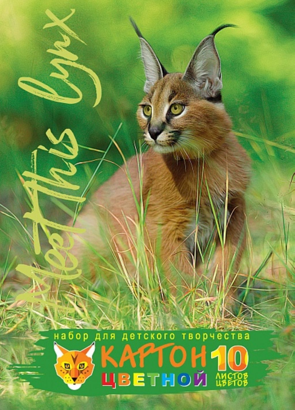 Картон цветной А4 10цв. 10л. "Hatber" Взгляд рыси /50/