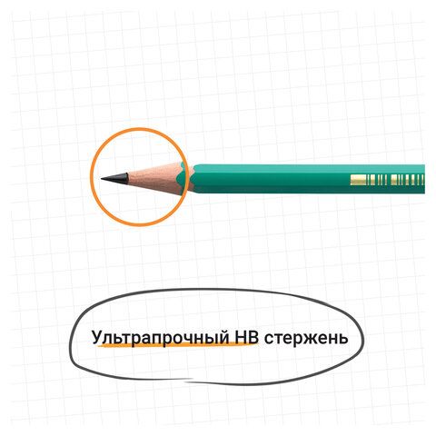 Карандаш чернографитный с ластиком Bic "Evolution" /12/72/