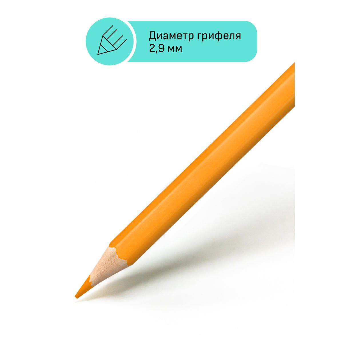 Карандаши 12цв. "Хобби. Лесной пейзаж" /12/