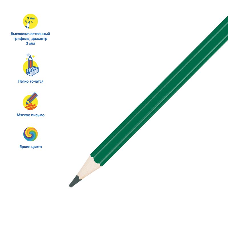 Карандаши 24цв. "Енот в Индии"   /6/