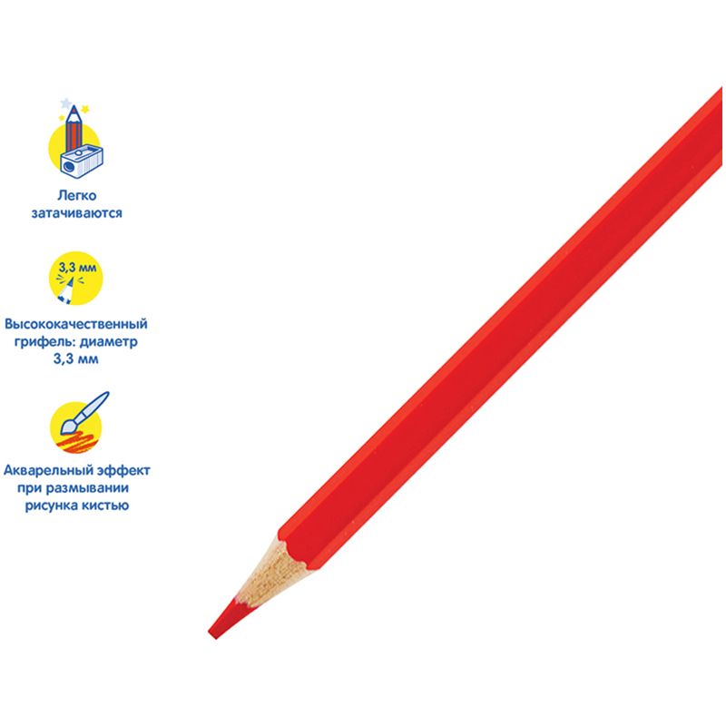 Карандаши 24цв. "Енот в Карибском море" акварельные заточенные /6/