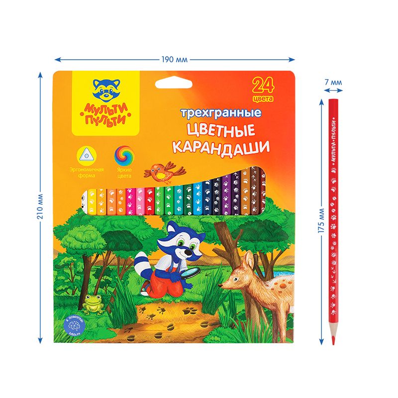 Карандаши 24цв. "Енот-следопыт" заточенные /12/