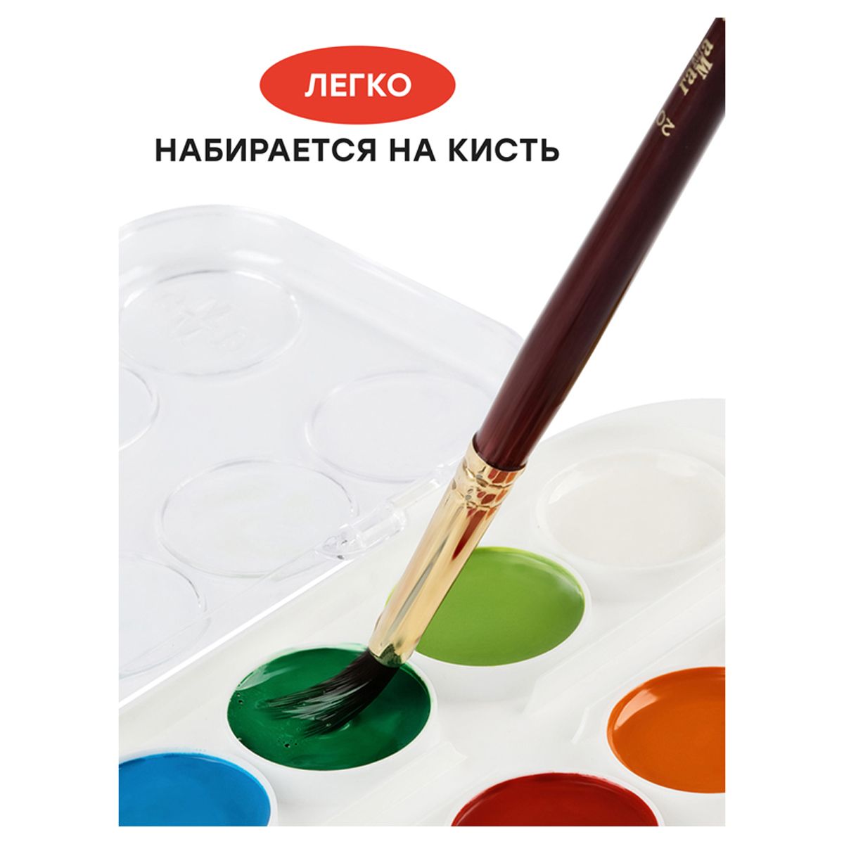 Краски акварельные 12цв. Гамма "Мультики" /18/