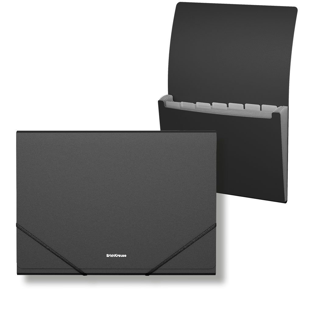 Папка А4 с отделениями 6шт. "Matt Classic" черная /4/