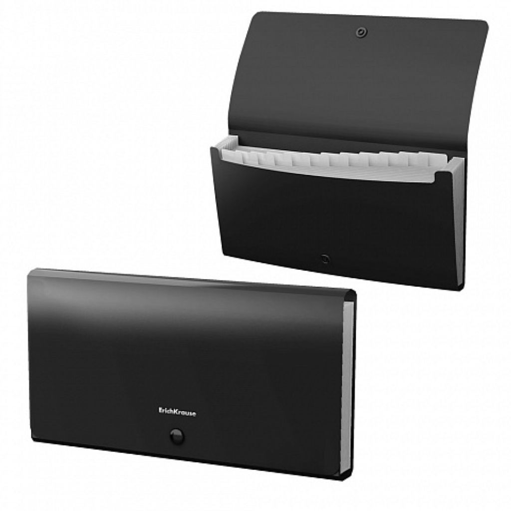 Папка А4 с отделениями 12шт. "Matt Classic" черная /4/