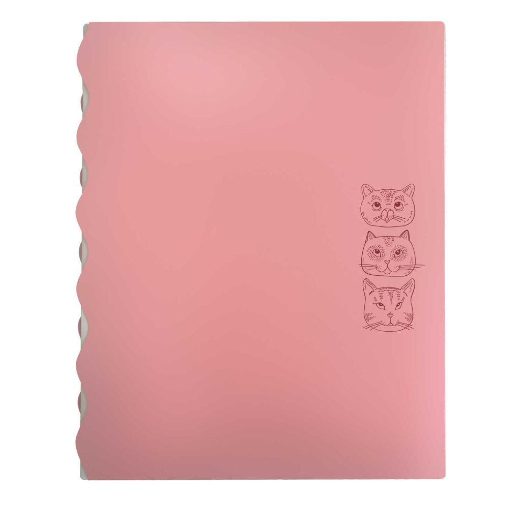 Папка А4 с отделениями 4шт. "Коты" /12/