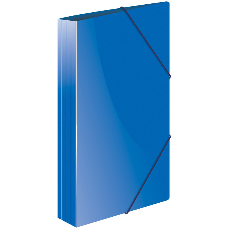 Папка на резинках А4 "Berlingo "Standard" синяя /50/