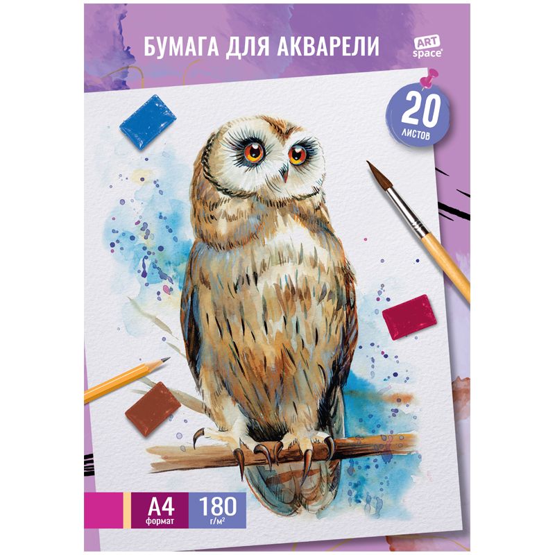 Папка для акварели А4 20л. "ArtSpace" "Сова", 180г/м2 /25/