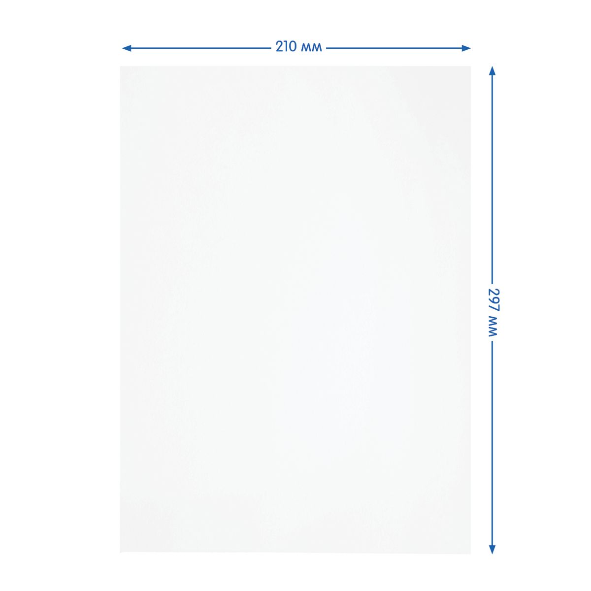 Папка для акварели А4 10л. "Мульти-Пульти Енот в Волшебном мире" /25/