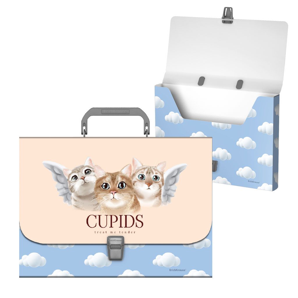 Портфель А4  1отд. "Cupids"