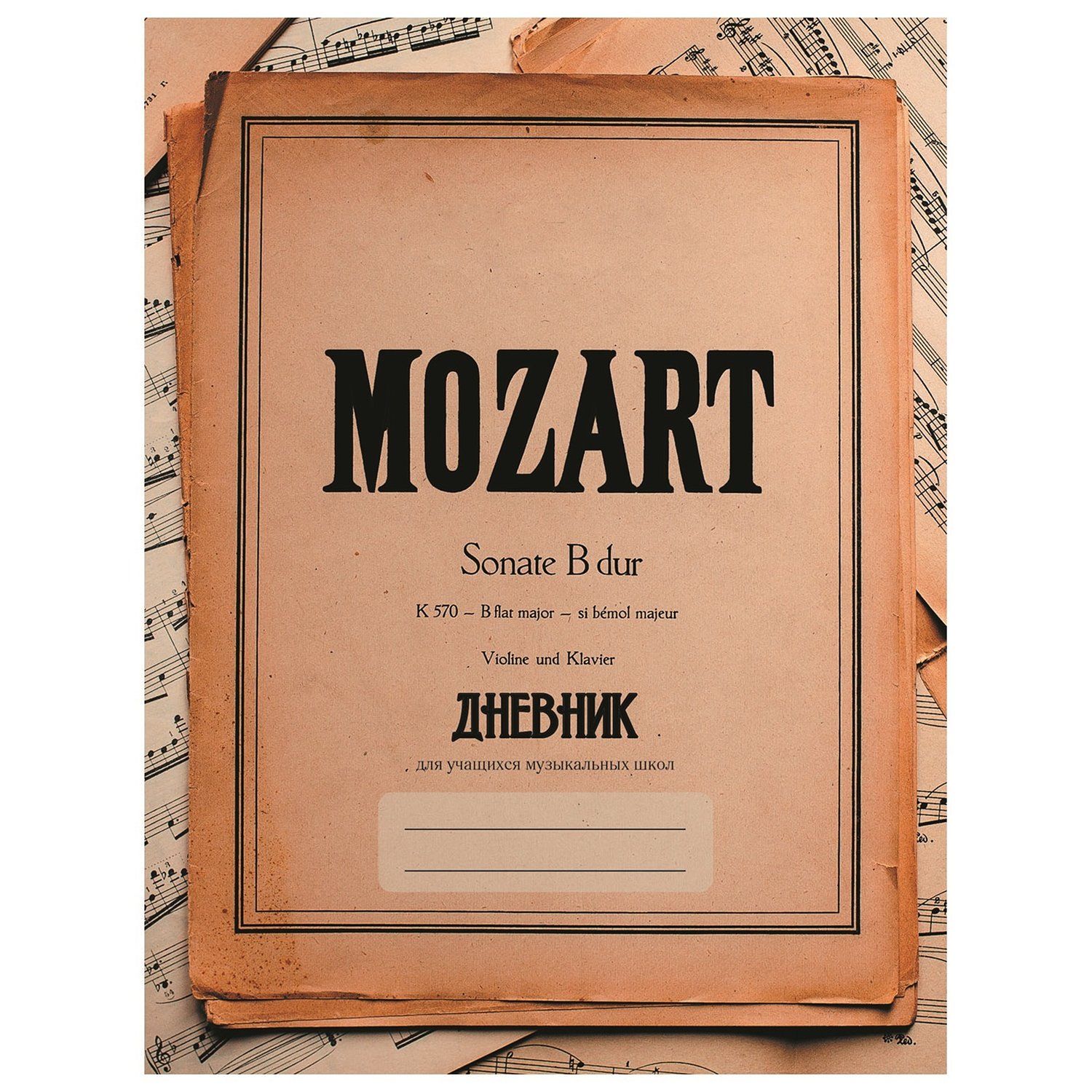 Дневник для музыкальной школы "Дизайн 6" /24/