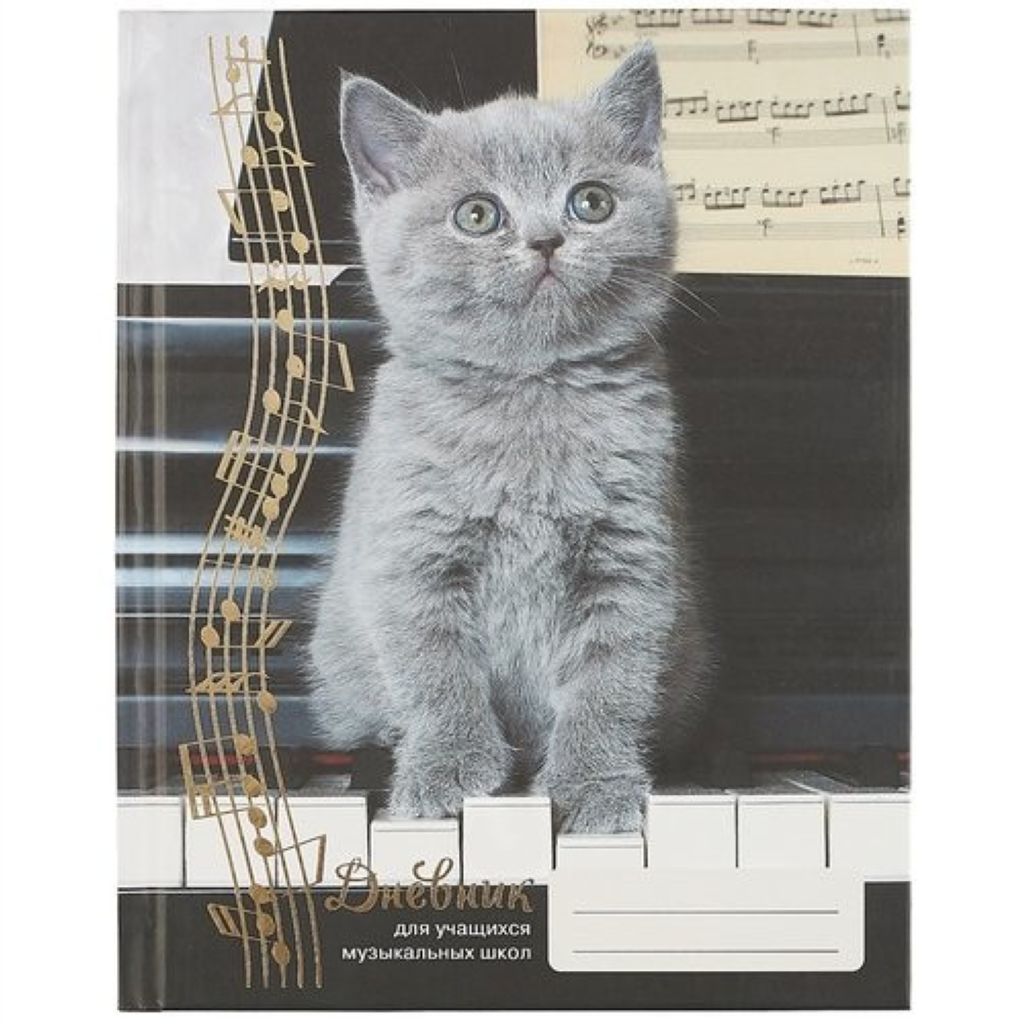 Дневник для музыкальной школы "Дизайн 1" /24/