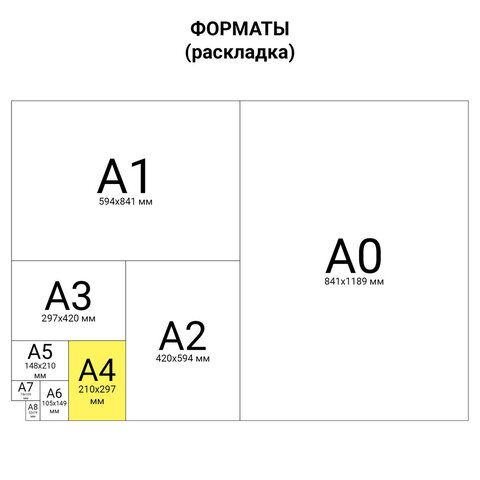 Книга учета  48л. клетка "STAFF" обложка из мелованного картона, блок офсет