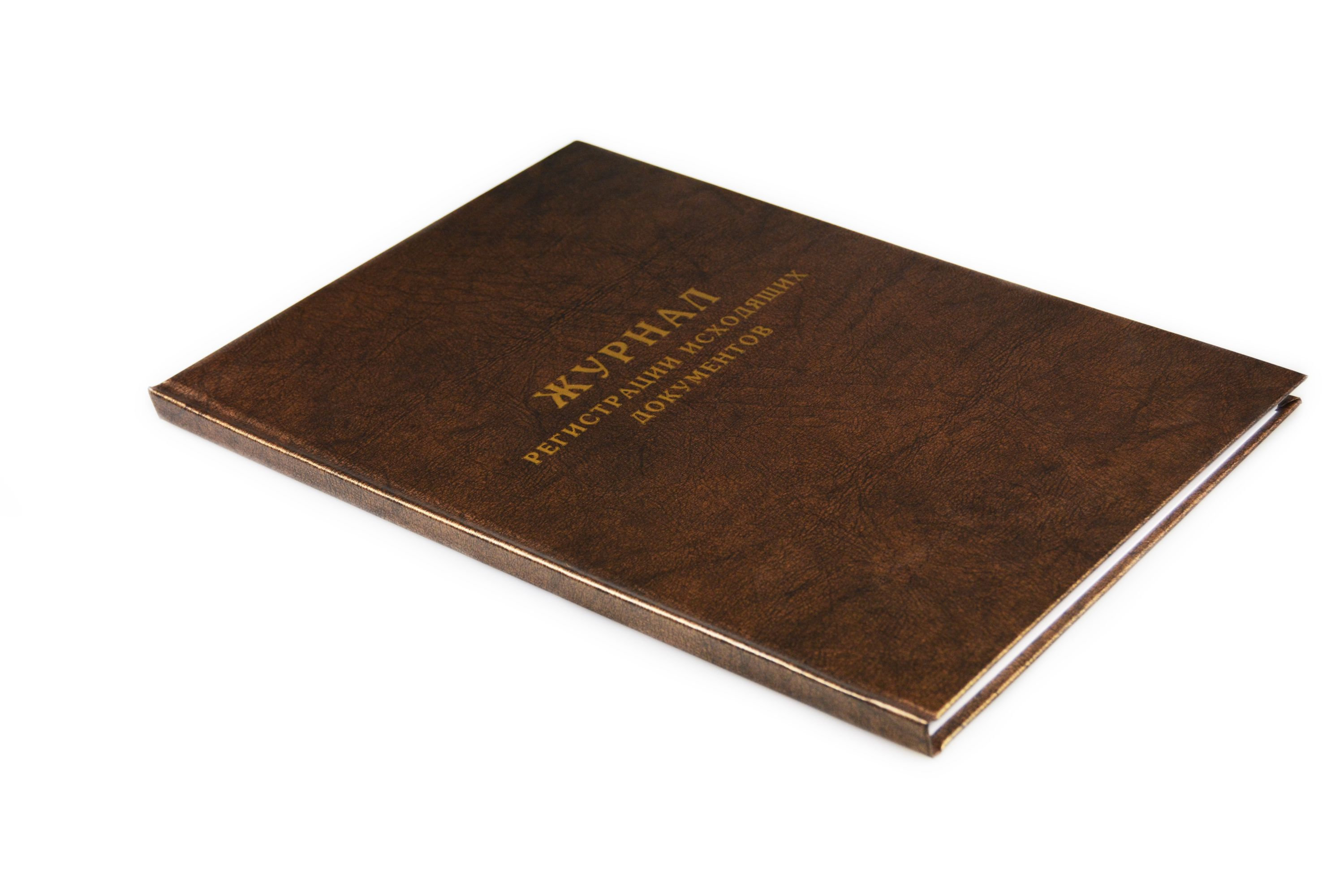 Журнал регистрации исходящих документов /10/