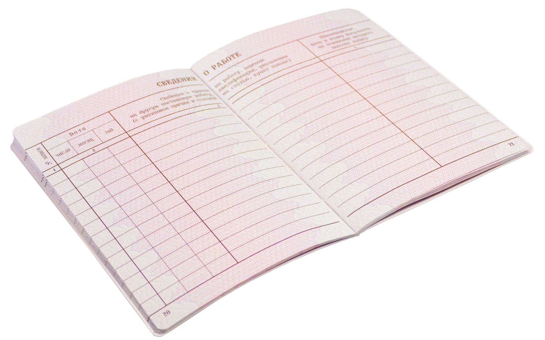 Трудовая книжка нового образца /250/