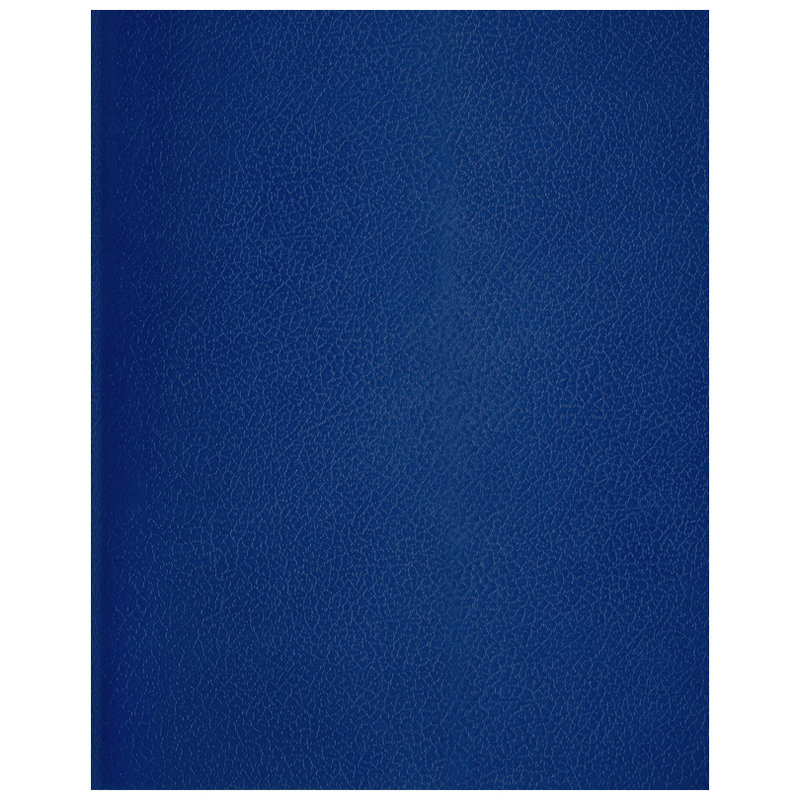 Тетрадь  48л. А5 линия бумвинил /1/100/