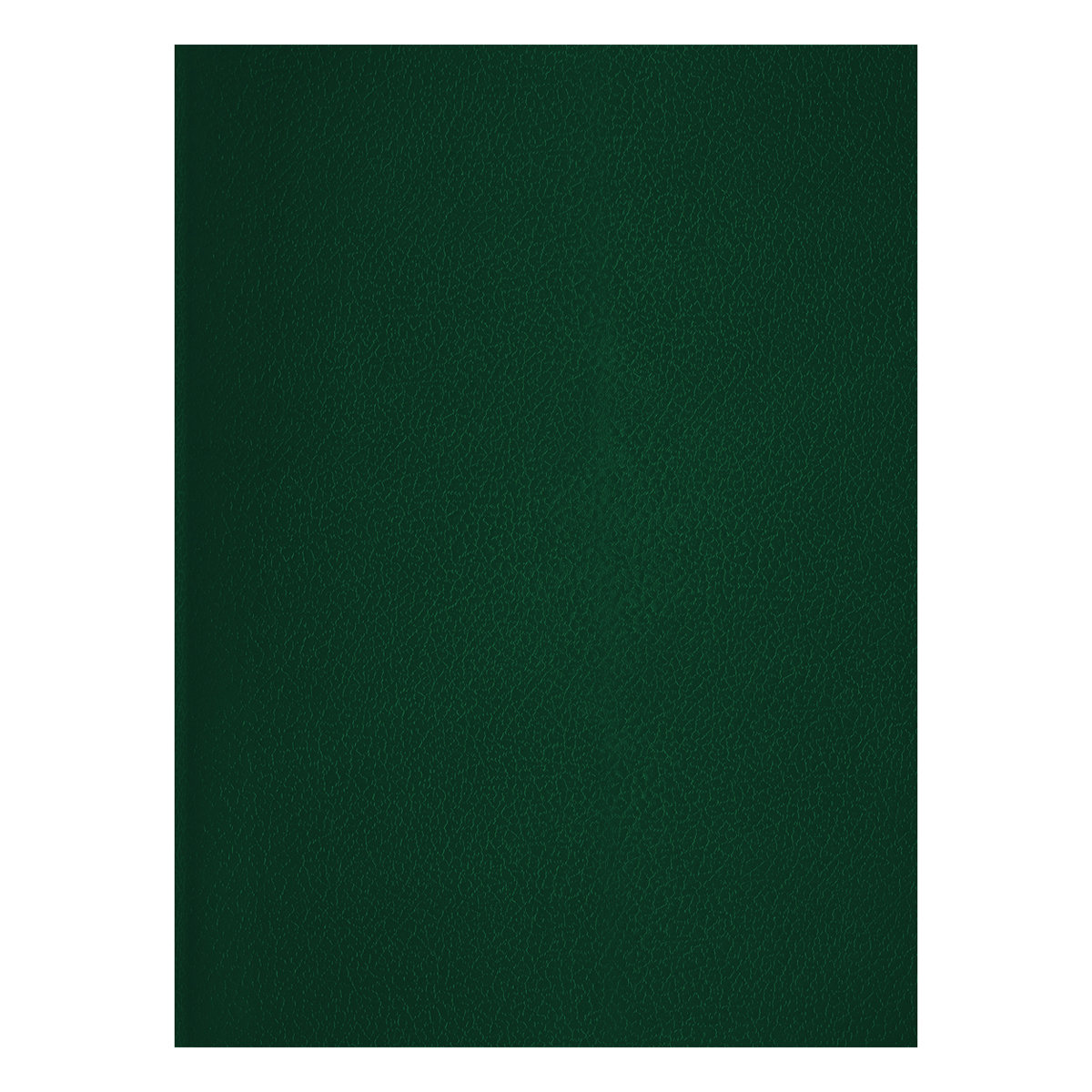 Тетрадь  48л. А4 клетка BG бумвинил, зеленый