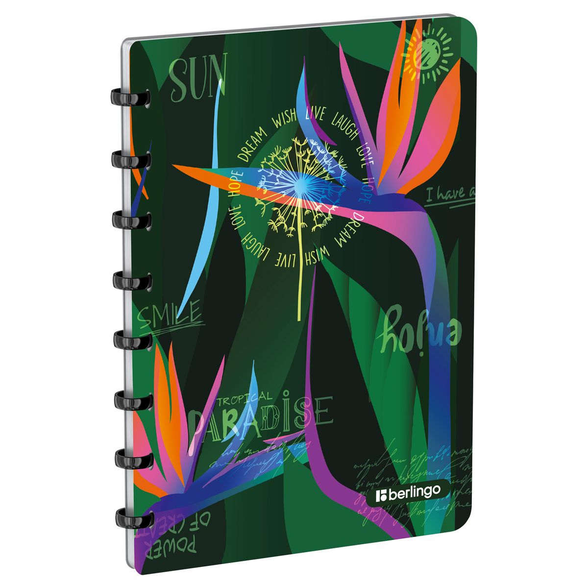 Тетрадь  80л. А5+ на кольцах Berlingo "Jumble" пластик /1/