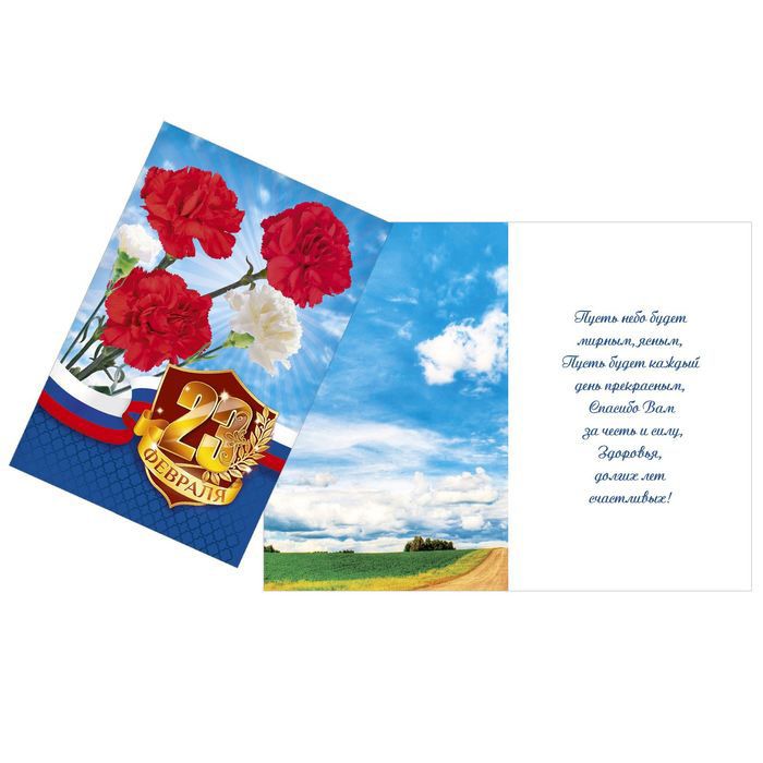 Открытка "23 февраля, гвоздики" /10/