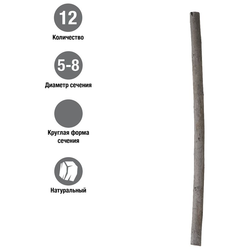 Уголь для рисования 12шт. "Pitt" /1/