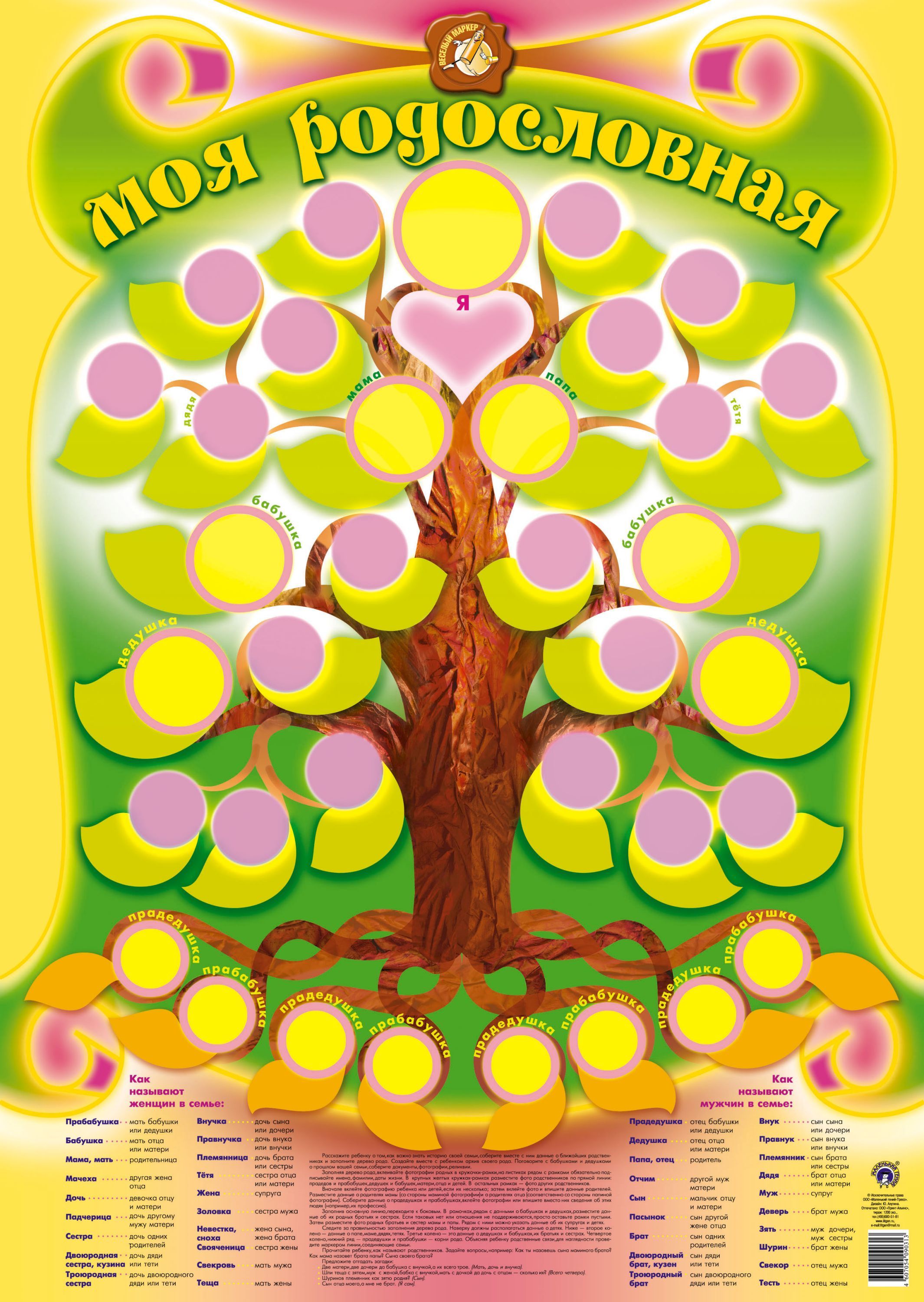 Плакат "Родословная" формат А2 /10/