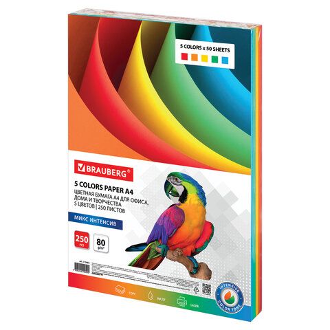 Бумага для оргтехники А4, 250л. 80г/кв.м BRAUBERG "Standard intensive" ассорти /5/
