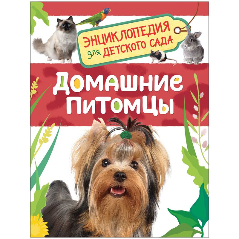 Книга "Домашние питомцы. Энциклопедия для детского сада" /1/