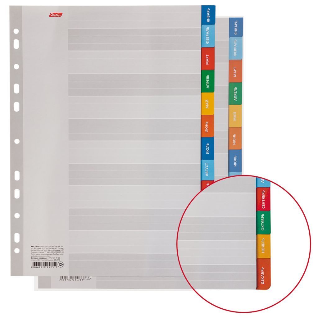 Разделитель листов А4 Январь-Декабрь "Hatber" картон /50/